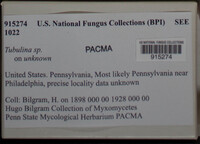 Image Associated With the Occurrence